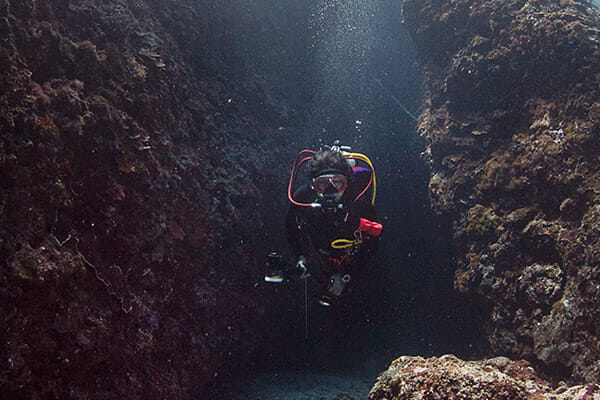 fun dive Bali