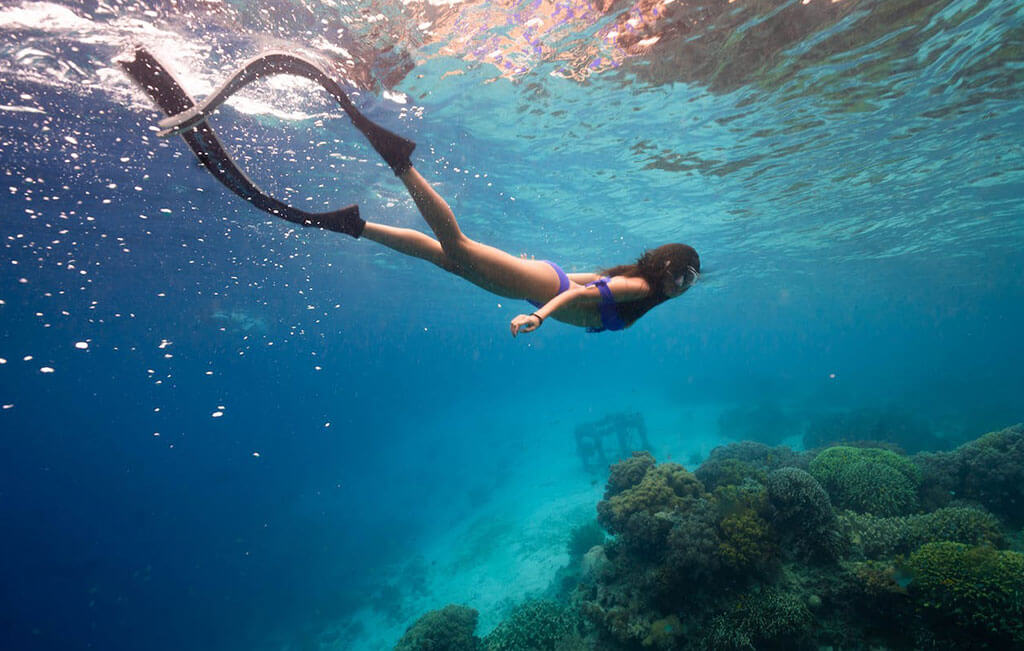 Holiday Dive Like No Other