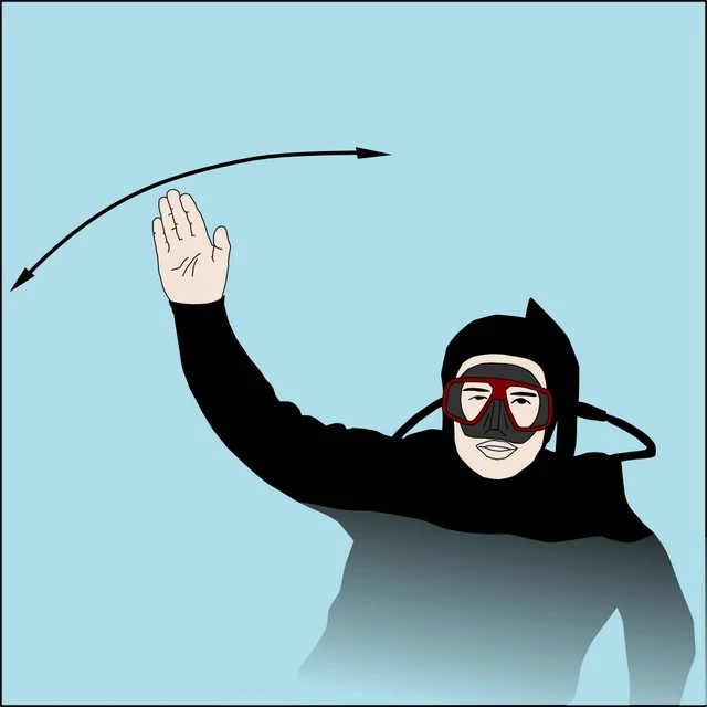 Emergency Hand Signal