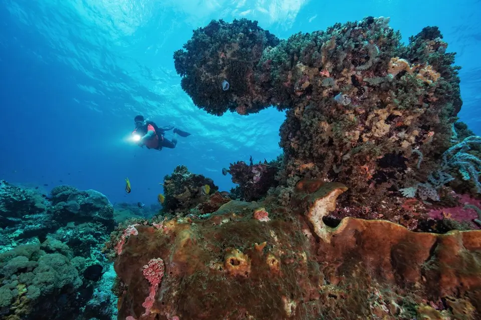 Influence on Currents and Underwater Visibility