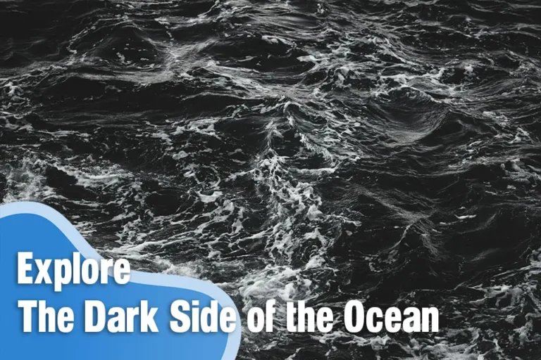 The Dark Side of the Ocean