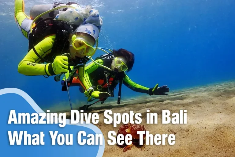 Amazing Dive Spots in Bali and What You Can See There