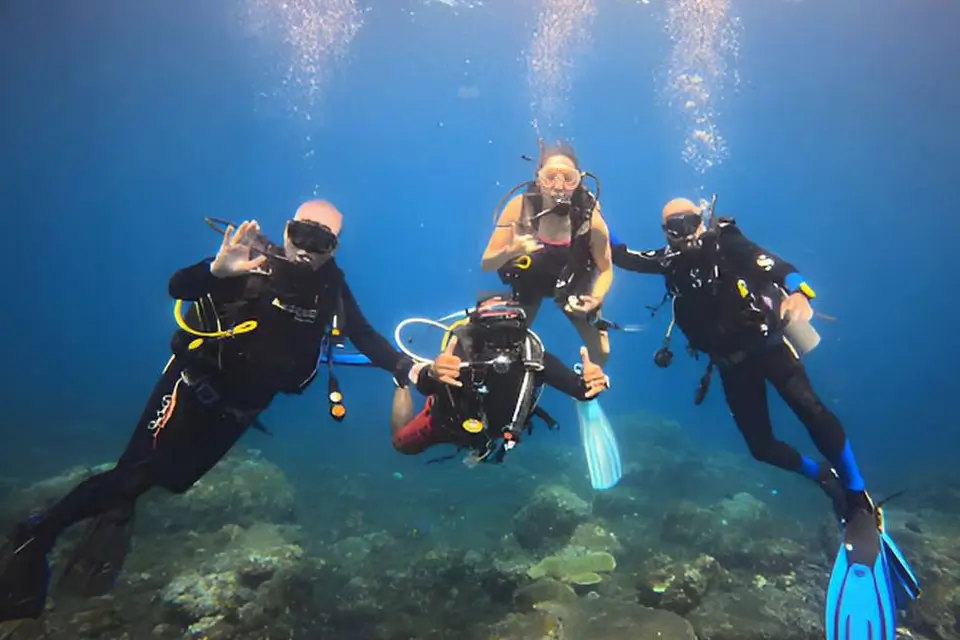 Dive Adventures