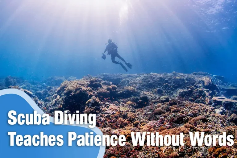 How Scuba Diving Teaches Patience Without Words