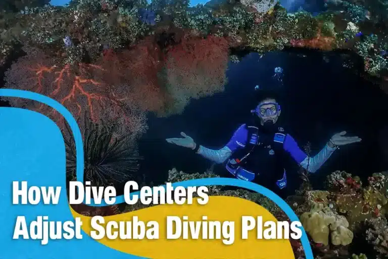 How Dive Centers Adjust Scuba Diving Plans